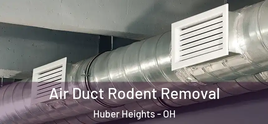  Air Duct Rodent Removal Huber Heights - OH