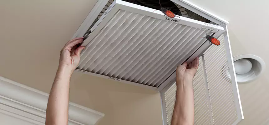 Preventive Cockroach-Proofing for Ducts in Huber Heights