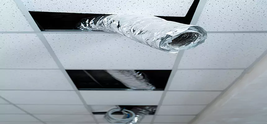 Our Air Duct Pet Hair Removal Services in Huber Heights, OH