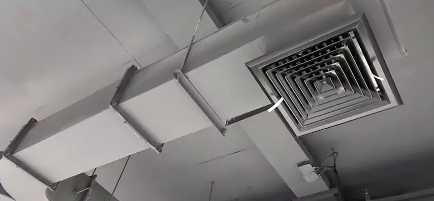 Restorative Allergy Relief Vent Cleaning – Coil, Blower & Housing Detail in Huber Heights