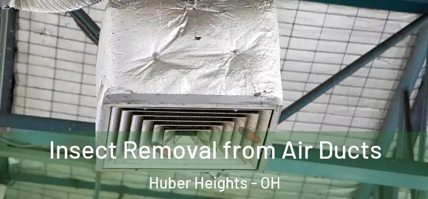  Insect Removal from Air Ducts Huber Heights - OH